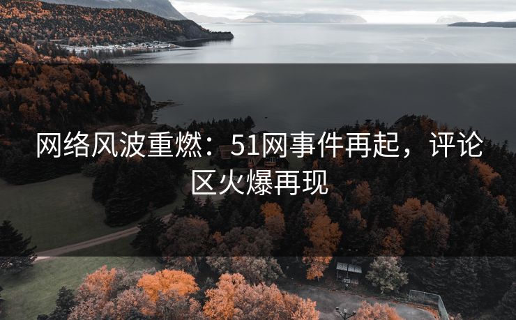 网络风波重燃：51网事件再起，评论区火爆再现